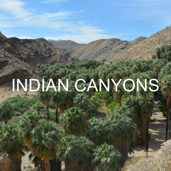 INDIAN CANYONS